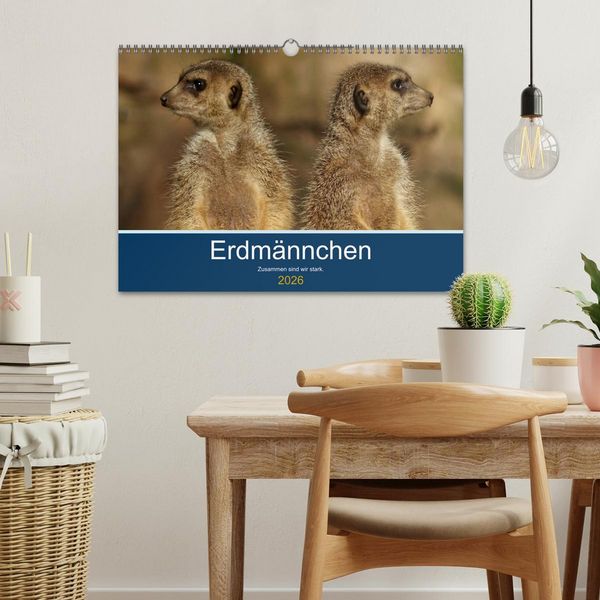 Produktbild: Erdm&auml;nnchen - Zusammen sind wir stark (Wandkalender 2026 DIN A3 quer), CALVENDO Monatskalender