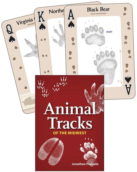 Produktbild: Animal Tracks of the Midwest Playing Cards
