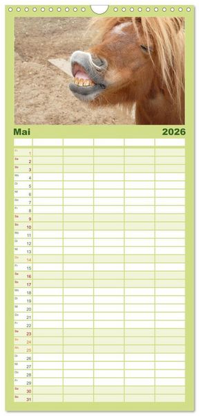 Produktbild: Familienplaner 2026 - Ponys. Herzensbrecher mit Grips mit 5 Spalten (Wandkalender, 21 x 45 cm) CALVENDO