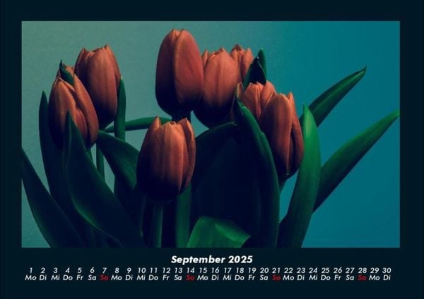 Produktbild: Blumenkalender 2025 Fotokalender DIN A4