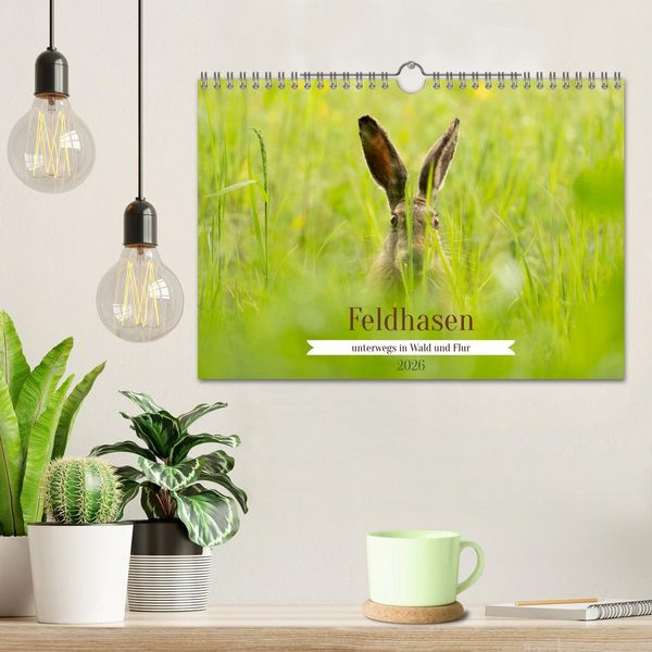 Produktbild: Feldhasen unterwegs in Wald und Flur (Wandkalender 2026 DIN A4 quer), CALVENDO Monatskalender