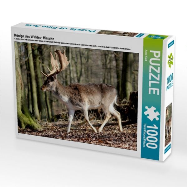 CALVENDO Puzzle Könige des Waldes- Hirsche | 1000 Teile Lege-Größe 64x48cm Foto-Puzzle für glückliche Stunden