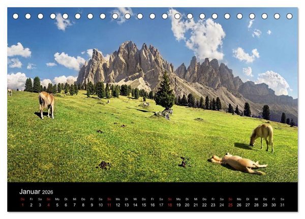 Produktbild: Wundersch&ouml;ne Haflingerwelt (Tischkalender 2026 DIN A5 quer), CALVENDO Monatskalender