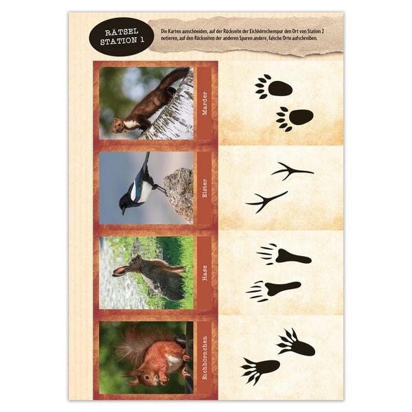 Produktbild: Activity Heft: Sommer, Sonne, Schnitzeljagd