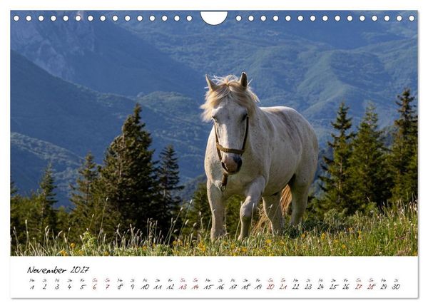 Produktbild: Bosnien-Herzegowina, unber&uuml;hrte Natur und touristische Highlights (Wandkalender 2027 DIN A4 quer), CALVENDO Monatskalender