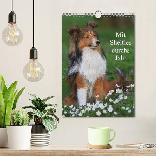 Produktbild: Mit Shelties durchs Jahr (Wandkalender 2026 DIN A4 hoch), CALVENDO Monatskalender