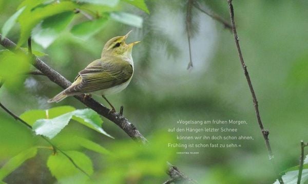 Produktbild: Unsere einzigartige Vogelwelt