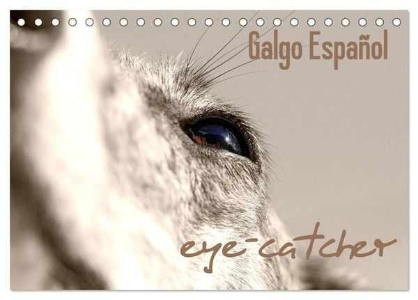 Produktbild: Galgo eye-catcher (Tischkalender 2026 DIN A5 quer), CALVENDO Monatskalender