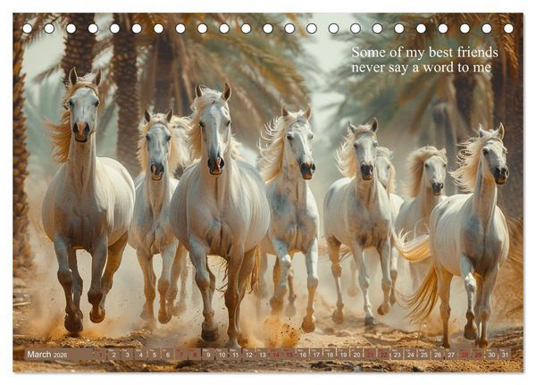 Produktbild: A Horse Makes You Complete (Desk Calendar 2026 DIN A5 landscape), CALVENDO 12 Month DeskCalendar
