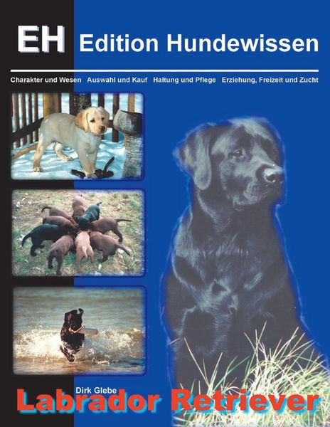Produktbild: Labrador Retriever