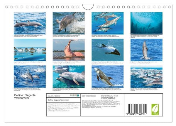 Produktbild: Delfine: Elegante Wellenreiter (Wandkalender 2026 DIN A4 quer), CALVENDO Monatskalender