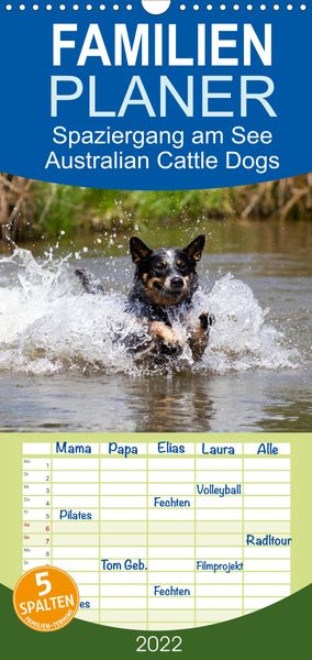 Produktbild: Spaziergang am See Australian Cattle Dogs - Familienplaner hoch (Wandkalender 2022 , 21 cm x 45 cm, hoch)