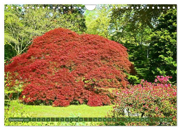 Produktbild: Japanischer Garten Leverkusen (Wandkalender 2026 DIN A4 quer), CALVENDO Monatskalender