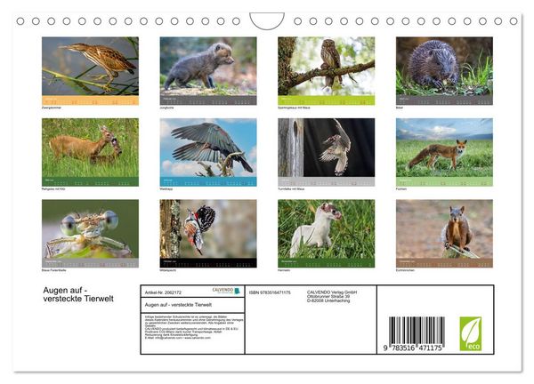 Produktbild: Augen auf - versteckte Tierwelt (Wandkalender 2026 DIN A4 quer), CALVENDO Monatskalender
