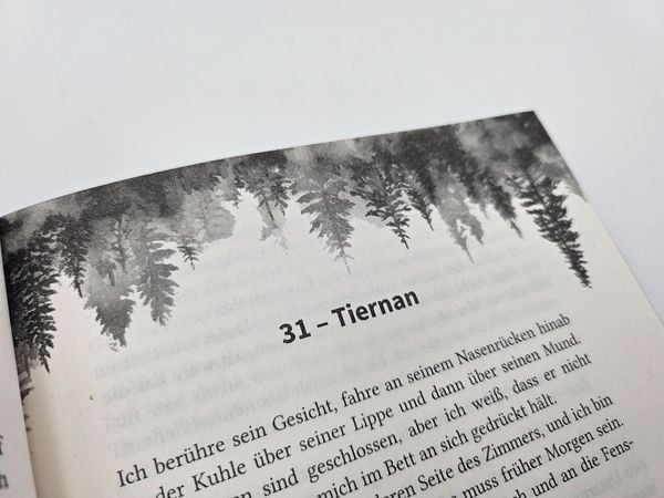Produktbild: Credence &ndash; Sie ist tabu, doch Liebe kennt keine Regeln