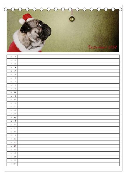 Produktbild: Der mopsige Familienplaner (Tischkalender 2027 DIN A5 hoch), CALVENDO Monatskalender