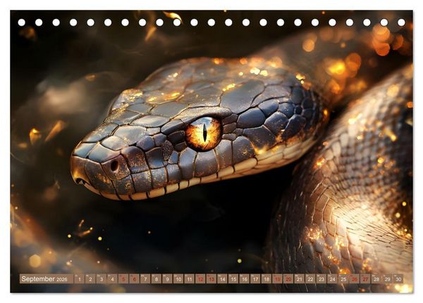 Produktbild: Tierische Balance (Tischkalender 2026 DIN A5 quer), CALVENDO Monatskalender