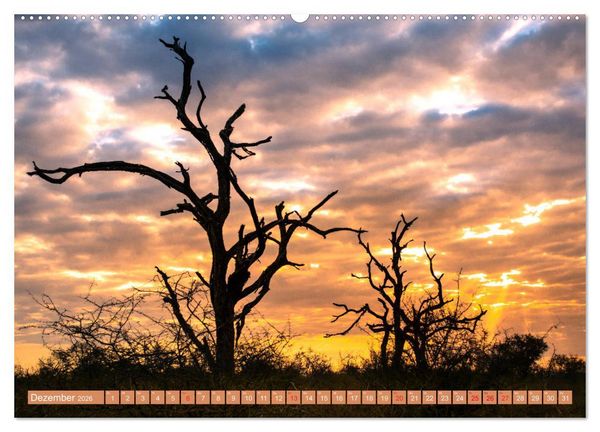 Produktbild: Eswatini - K&ouml;nigreich im s&uuml;dlichen Afrika (Wandkalender 2026 DIN A2 quer), CALVENDO Monatskalender