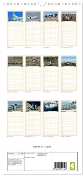 Produktbild: Familienplaner 2026 - Im Reich der Pinguine mit 5 Spalten (Wandkalender, 21 x 45 cm) CALVENDO