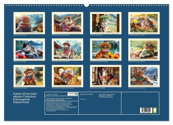Produktbild: Katzen-Divas beim alpinen Fotoshoot. Extravagante Katzenmode (Wandkalender 2026 DIN A2 quer), CALVENDO Monatskalender