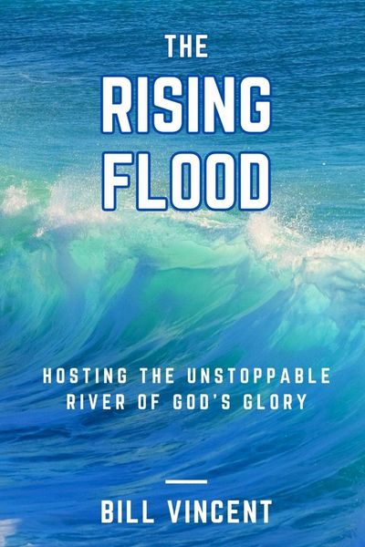 Produktbild: The Rising Flood