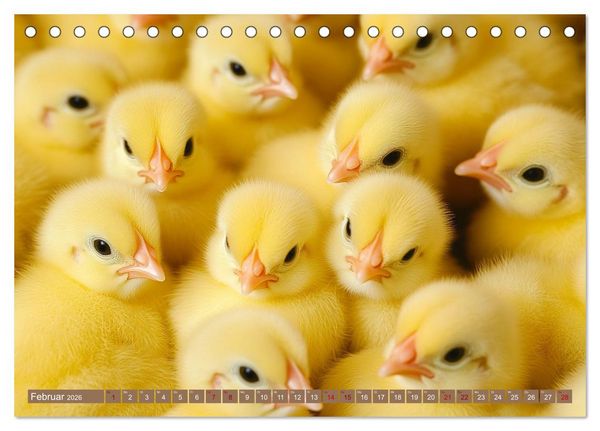 Produktbild: Kuschelblicke (Tischkalender 2026 DIN A5 quer), CALVENDO Monatskalender