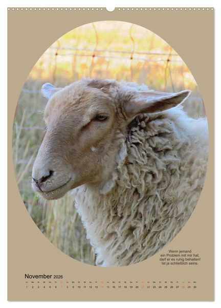 Produktbild: Scharfe Portraits (hochwertiger Premium Wandkalender 2026 DIN A2 hoch), Kunstdruck in Hochglanz