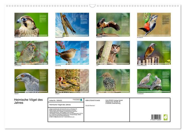 Produktbild: Heimische V&ouml;gel des Jahres (Wandkalender 2026 DIN A2 quer), CALVENDO Monatskalender