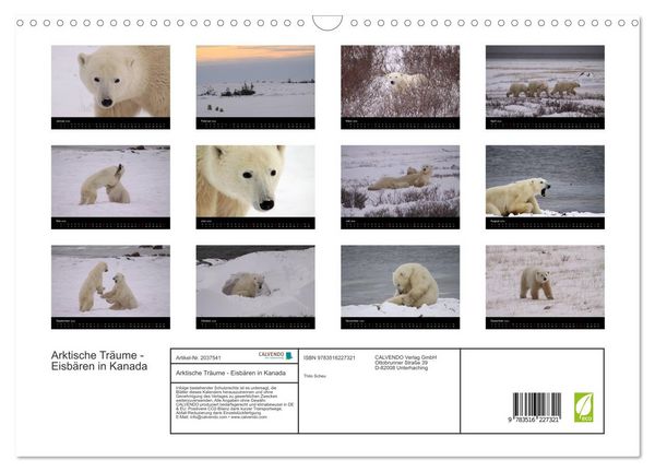 Produktbild: Arktische Tr&auml;ume - Eisb&auml;ren in Kanada (Wandkalender 2026 DIN A3 quer), CALVENDO Monatskalender