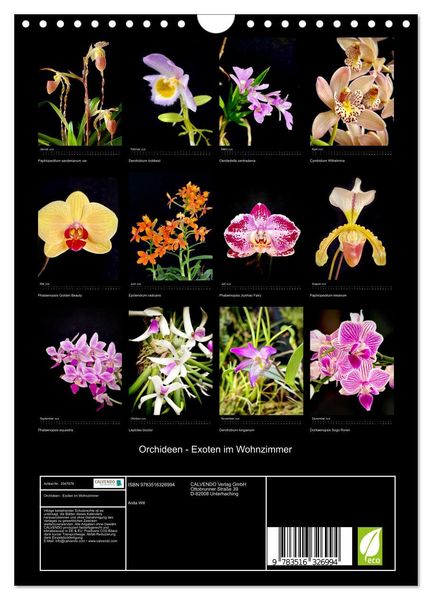 Produktbild: Orchideen - Exoten im Wohnzimmer (Wandkalender 2026 DIN A4 hoch), CALVENDO Monatskalender