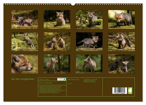 Produktbild: Bei den Jungf&uuml;chsen (hochwertiger Premium Wandkalender 2026 DIN A2 quer), Kunstdruck in Hochglanz