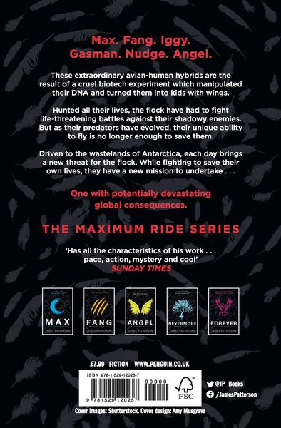 Produktbild: The Final Warning: A Maximum Ride Novel