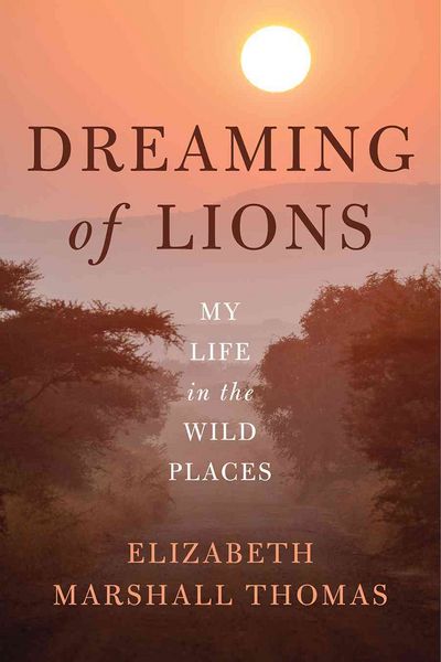 Produktbild: Dreaming Of Lions