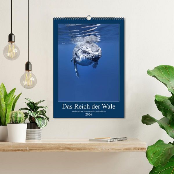 Produktbild: Im Reich der Wale (Wandkalender 2026 DIN A3 hoch), CALVENDO Monatskalender