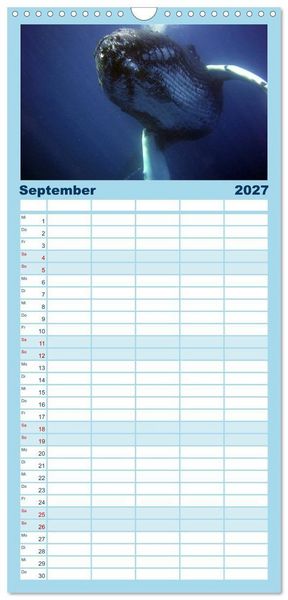 Produktbild: Familienplaner 2027 - Delfine und Wale mit 5 Spalten (Wandkalender, 21 x 45 cm) CALVENDO