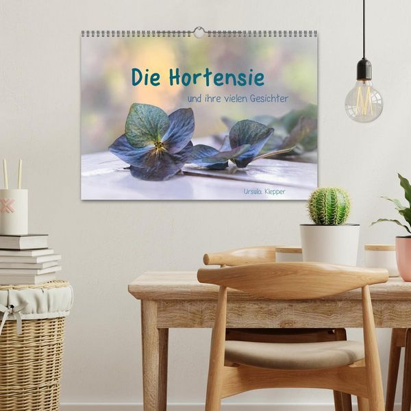 Produktbild: Die Hortensie und ihre vielen Gesichter (Wandkalender 2026 DIN A3 quer), CALVENDO Monatskalender