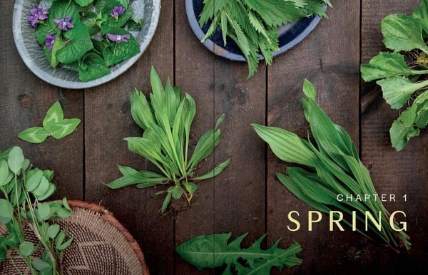 Produktbild: Herbs in Every Season