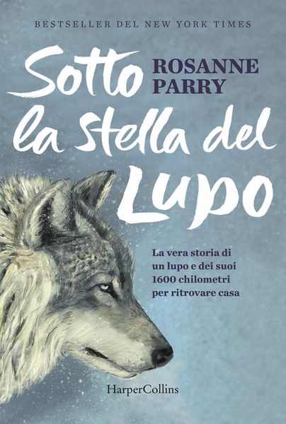 Produktbild: Sotto la stella del lupo