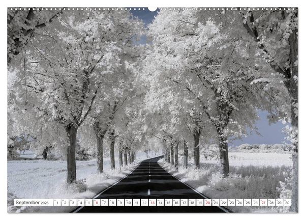 Produktbild: Zauberhafte Infrarot-Fotografie (hochwertiger Premium Wandkalender 2026 DIN A2 quer), Kunstdruck in Hochglanz