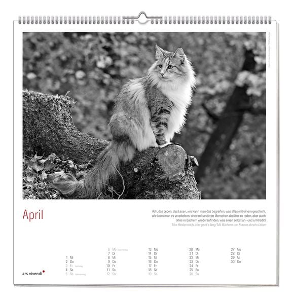 Produktbild: Der grosse literarische Katzen Kalender 2027