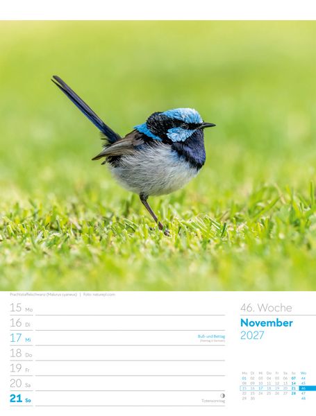 Produktbild: V&ouml;gel Wochenplaner Kalender 2027