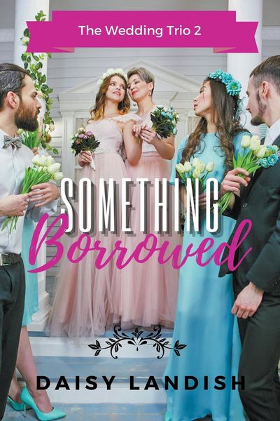 Produktbild: Something Borrowed