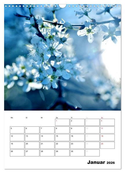 Produktbild: Zauberhafte Bl&uuml;tenwelt / Planer (Wandkalender 2026 DIN A3 hoch), CALVENDO Monatskalender