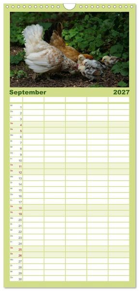 Produktbild: Familienplaner 2027 - Die Welt der H&uuml;hner mit 5 Spalten (Wandkalender, 21 x 45 cm) CALVENDO