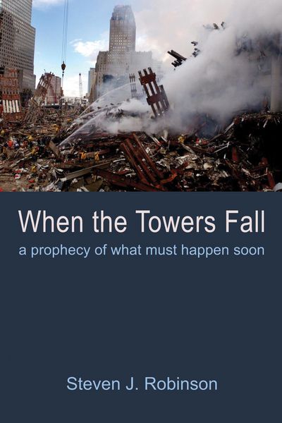 Produktbild: When the Towers Fall