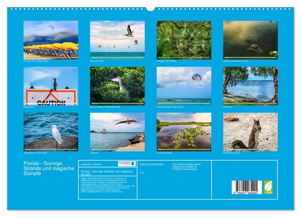 Produktbild: Florida - Sonnige Str&auml;nde und magische S&uuml;mpfe (hochwertiger Premium Wandkalender 2026 DIN A2 quer), Kunstdruck in Hochglanz