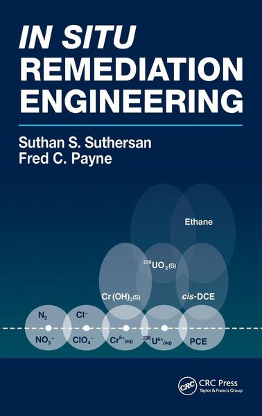 Produktbild: In Situ Remediation Engineering