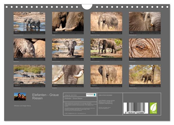 Produktbild: Elefanten - Graue Riesen (Wandkalender 2026 DIN A4 quer), CALVENDO Monatskalender