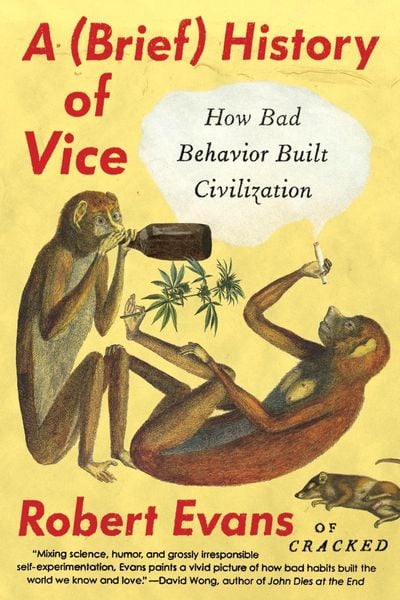 Produktbild: A Brief History of Vice