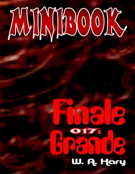Produktbild: MINIBOOK 017: Finale Grande